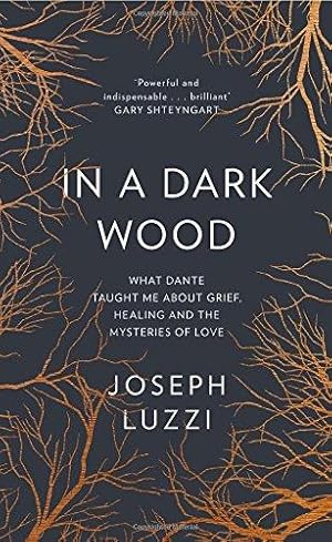 Seller image for In a Dark Wood: What Dante Taught Me About Grief, Healing, and the Mysteries of Love for sale by WeBuyBooks