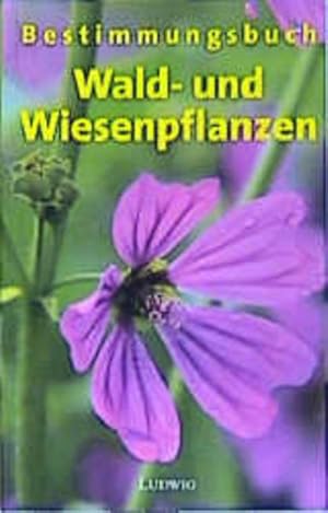 Seller image for Bestimmungsbuch Wald- und Wiesenpflanzen for sale by Gerald Wollermann