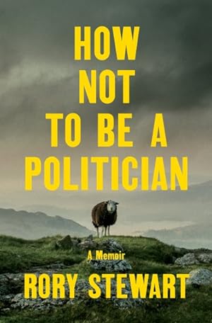 Seller image for How Not to Be a Politician for sale by GreatBookPrices