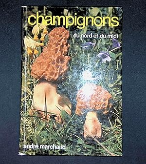 Bild des Verkufers fr Champignons du nord et du midi Tome II zum Verkauf von LibrairieLaLettre2