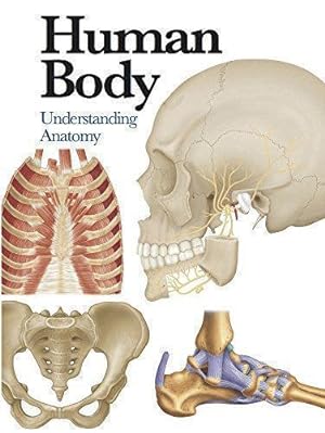 Bild des Verkufers fr Human Body: Understanding Anatomy (Mini Encyclopedia) zum Verkauf von WeBuyBooks