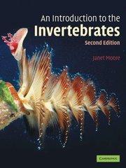 Image du vendeur pour An Introduction to the Invertebrates mis en vente par WeBuyBooks