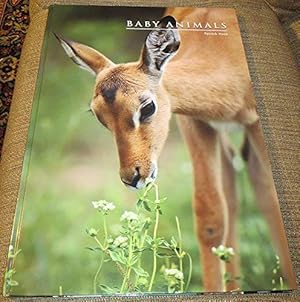 Immagine del venditore per BABY ANIMALS venduto da 2nd Life Books