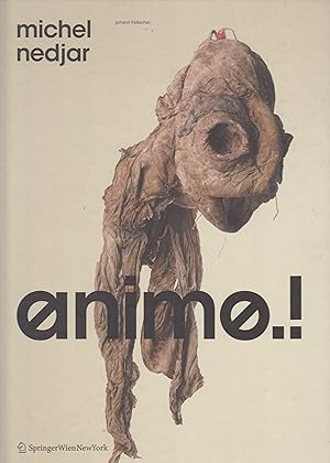 Bild des Verkufers fr Johann Feilacher: Michel Nedjar. Animo ! zum Verkauf von Stefan Schuelke Fine Books