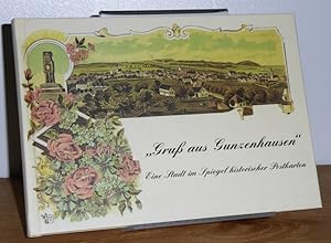 Gruß aus Gunzenhausen. Eine Stadt im Spiegel historischer Postkarten.