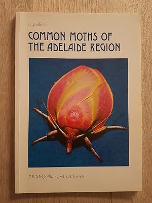 A Guide to Common Moths of the Adelaide Region