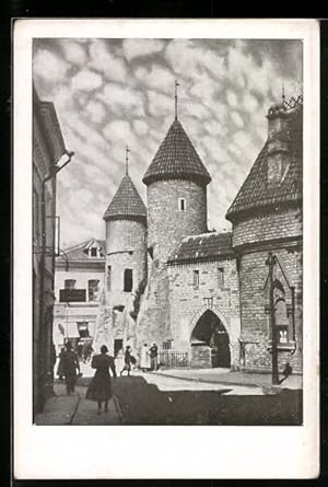 Bild des Verkufers fr Ansichtskarte Tallinn, Viruvrav zum Verkauf von Bartko-Reher