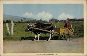 Ansichtskarte / Postkarte Montreal Quebec Kanada, Vieh mit Wagen