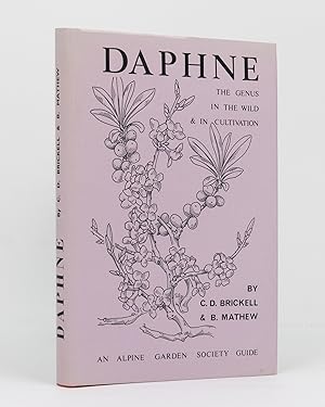 Seller image for Daphne. The Genus in the Wild and in Cultivation for sale by Michael Treloar Booksellers ANZAAB/ILAB