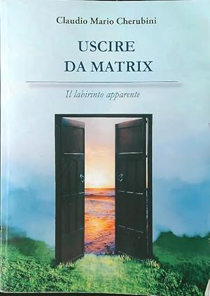 Seller image for Uscire da Matrix. Il labirinto apparente for sale by Librodifaccia