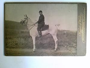 Kabinettfoto, Mann auf Pferd, Rassepferd, Lottmann, Kaiserslautern, datiert 1901