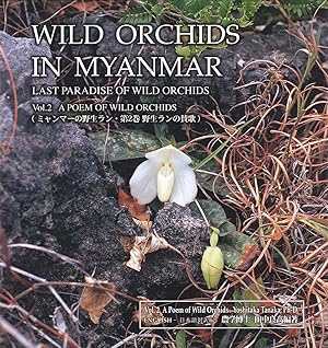 Imagen del vendedor de Wild Orchids in Myanmar - Vol. 2 - A Poem of Wild Orchids a la venta por Orchid Press