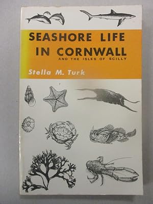 SEASHORE LIFE IN CORNWALL AND THE ISLES OF SCILLY.