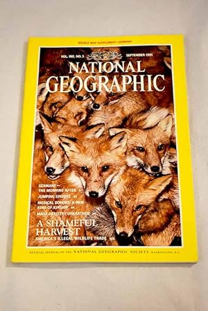Bild des Verkufers fr National Geographic Magazine, Ao 1991, vol. 180, n 3:: The morning after: Germany reunited; All eyes on jumping spiders; A new kind of kinship; Maya artistry unearthed; A shameful harvest: America's illegal wildlife trade zum Verkauf von Alcan Libros