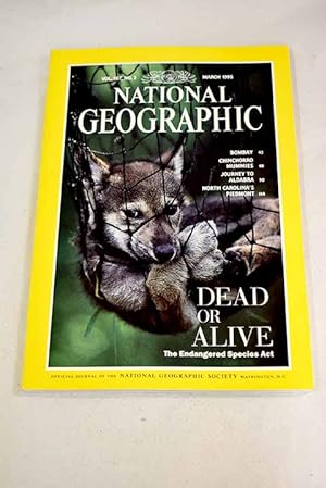 Seller image for National Geographic Magazine, Ao 1995, vol. 187, n 3:: Dead or alive: the endangered species act; Bombay: India's capital of hope; Chile's Chinchorro mummies; Journey to Aldabra; North Carolina's Piedmont: on a fast break for sale by Alcan Libros