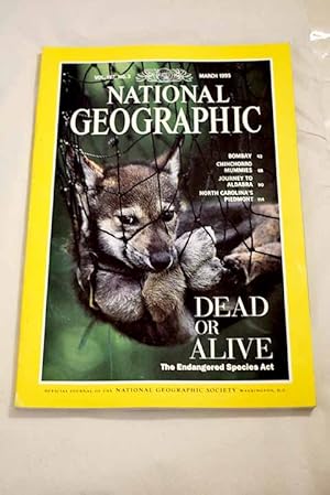 Bild des Verkufers fr National Geographic Magazine, Ao 1995, vol. 187, n 3:: Dead or alive: the endangered species act; Bombay: India's capital of hope; Chile's Chinchorro mummies; Journey to Aldabra; North Carolina's Piedmont: on a fast break zum Verkauf von Alcan Libros