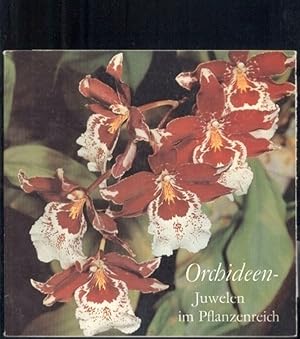 Seller image for Orchideen - Juwelen im Pflanzenreich for sale by Clivia Mueller