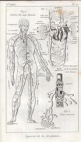 Imagen del vendedor de Cahiers d'histoire naturelle : a l'usage des collges, des institutions religieuses et des coles normales primaire. 1er. cahier, Zoologie a la venta por PRISCA