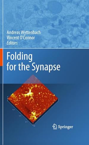 Seller image for Folding for the Synapse for sale by BuchWeltWeit Ludwig Meier e.K.