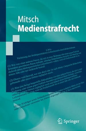 Imagen del vendedor de Medienstrafrecht a la venta por BuchWeltWeit Ludwig Meier e.K.