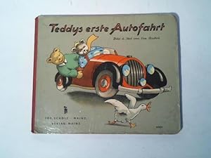 Teddys erste Autofahrt