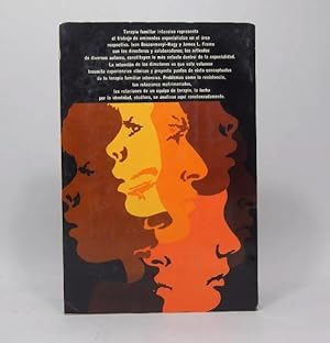 Image du vendeur pour Terapia Familiar Intensiva Bodzormenyi Framo 1976 Cb1 mis en vente par Libros librones libritos y librazos