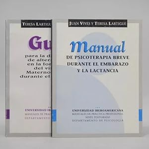 Seller image for Psicoterapia Breve Materno Embarazo Vives Lartigue Cc3 for sale by Libros librones libritos y librazos