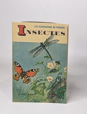 Insectes le petit guide illustré