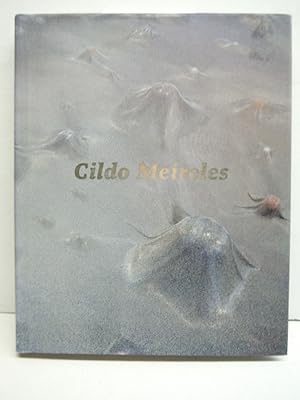 Seller image for Cildo Meireles for sale by Imperial Books and Collectibles