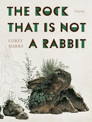 Seller image for Rock That Is Not a Rabbit : Poems for sale by GreatBookPrices
