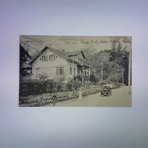 Ballenstedt a. Harz. Villa Friede - Ansichtskarte