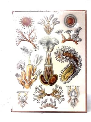 Seller image for Life: A Natural History Of The First Four Billion Years Of Life On Earth for sale by World of Rare Books