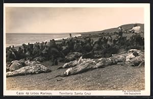 Ansichtskarte Territorio Santa Cruz, Caza de Lobos Marinos, Jagd auf Robben