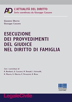 Seller image for Esecuzione dei provvedimenti del giudice nel diritto di famiglia for sale by Libreria sottomarina - Studio Bibliografico