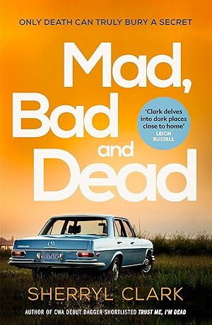 Seller image for Mad, Bad and Dead (3) (Judi Westerholme) for sale by Redux Books