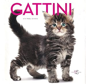 Gattini