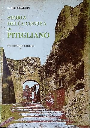 Monografia storica della Contea di Pitigliano. Opera postuma