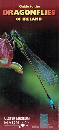 Guide to the Dragonflies of Ireland