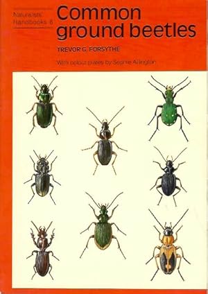 Seller image for Common Ground Beetles (Naturalists' Handbooks 8) for sale by PEMBERLEY NATURAL HISTORY BOOKS BA, ABA