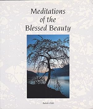 Bild des Verkufers fr Meditations of the Blessed Beauty zum Verkauf von WeBuyBooks