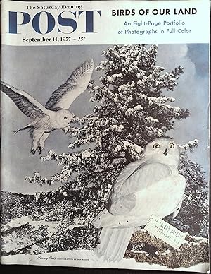 Image du vendeur pour The Saturday Evening Post September 14, 1957 Snowy Owls, Ray Bradbury mis en vente par AcornBooksNH