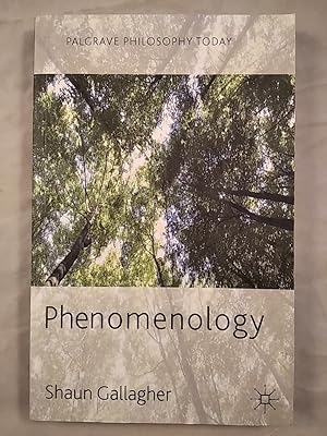 Bild des Verkufers fr Palgrave Philosophy Today: Phenomenology, Sprache: Englisch. zum Verkauf von KULTur-Antiquariat