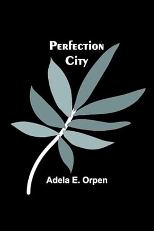 Immagine del venditore per Perfection City venduto da AHA-BUCH GmbH