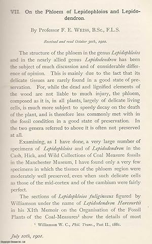 Seller image for The Phloem of Lepidophloios and Lepidodendron. An original article from the Memoirs of the Literary and Philosophical Society of Manchester, 1901. for sale by Cosmo Books