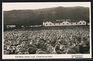 Immagine del venditore per Postcard Santa Cruz, Estancia La Anita venduto da Bartko-Reher