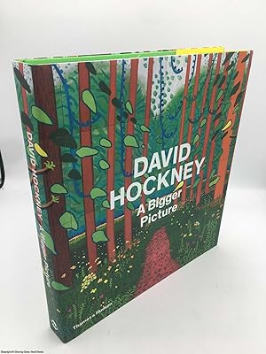 Image du vendeur pour David Hockney: a Bigger Picture mis en vente par 84 Charing Cross Road Books, IOBA