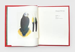 Bild des Verkufers fr Amazon Parrots. zum Verkauf von Peter Harrington.  ABA/ ILAB.