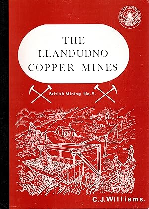 The Llandudno Copper Mines British Mining No 9