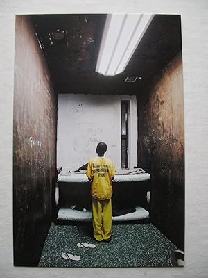 Immagine del venditore per Richard Ross Juvenile in Justice Ronald Feldman Fine Arts 2013 Exhibition invite postcard venduto da ANARTIST