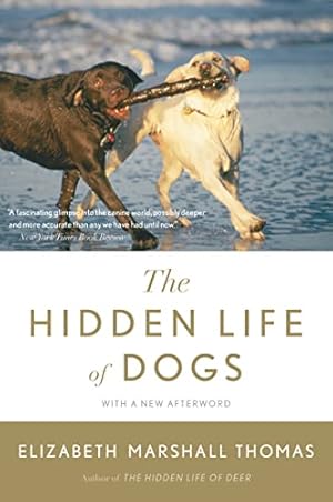 Seller image for The Hidden Life of Dogs for sale by WeBuyBooks